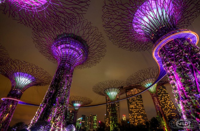 сингапур.jpg