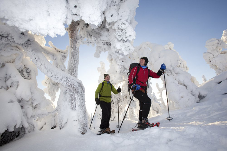 Koli_snowshoeing_adults_finland.jpg