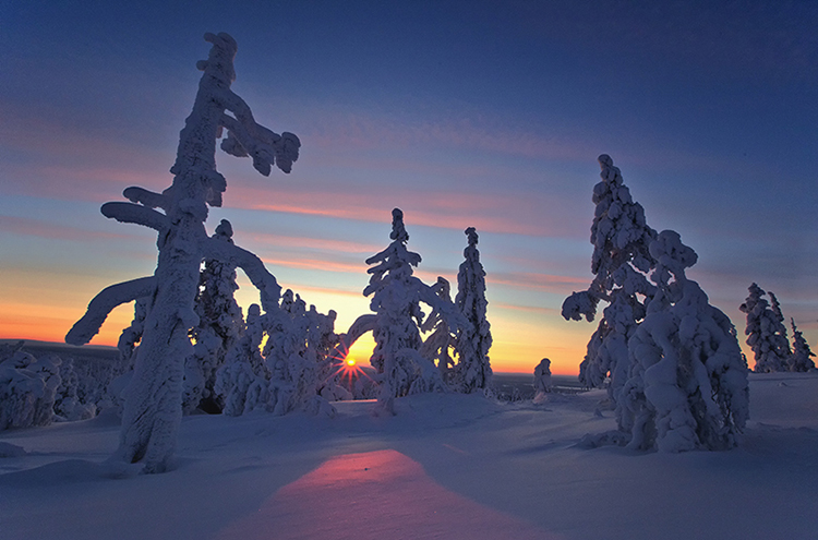 Lapland-near-Levi-Finland-21.jpg